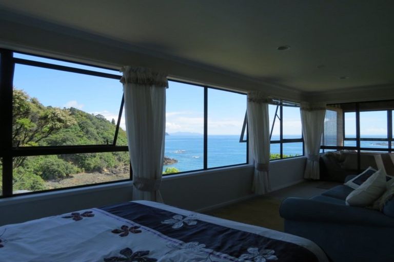 Photo of property in 17 Little Bay Drive, Waikawau, Coromandel, 3584