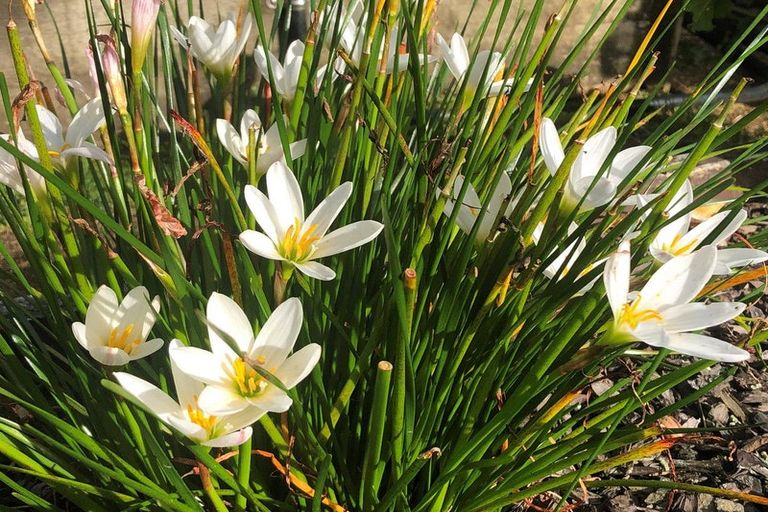 Photo of property in 19 Raumati Crescent, Onerahi, Whangarei, 0110