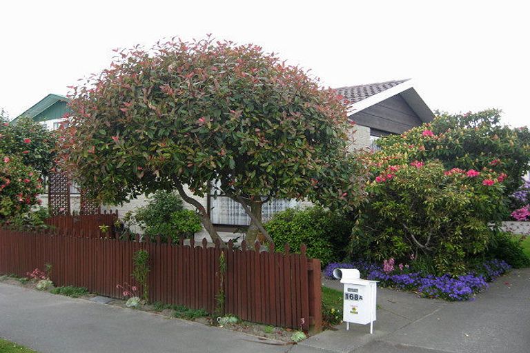 Photo of property in 2/168 Highsted Road, Casebrook, Christchurch, 8051