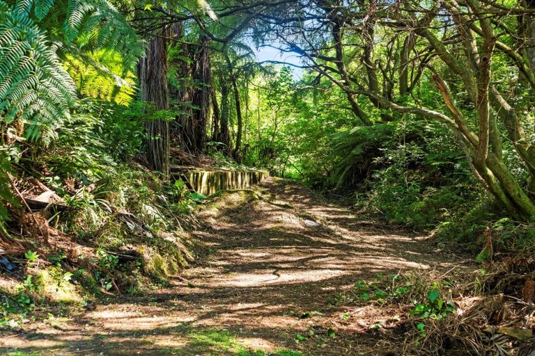 Photo of property in 33 Silkwood Way, Tauriko, Tauranga, 3110