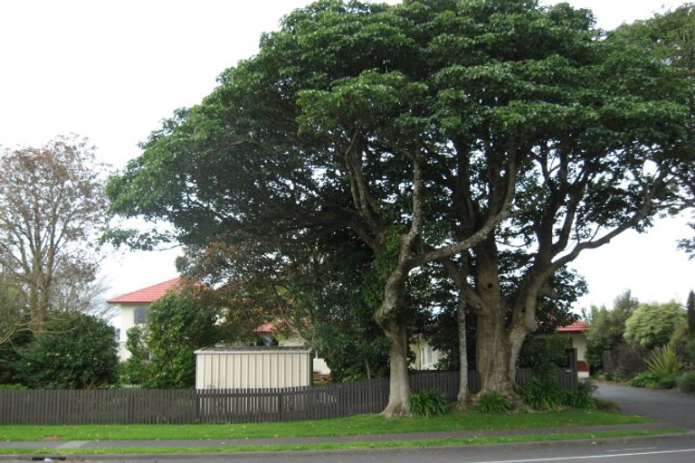 Photo of property in 305 Mangorei Road, Merrilands, New Plymouth, 4312