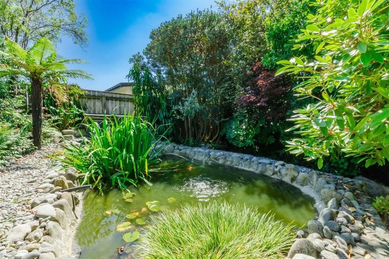 Photo of property in 26 Sunshine Avenue, Paraparaumu, 5032