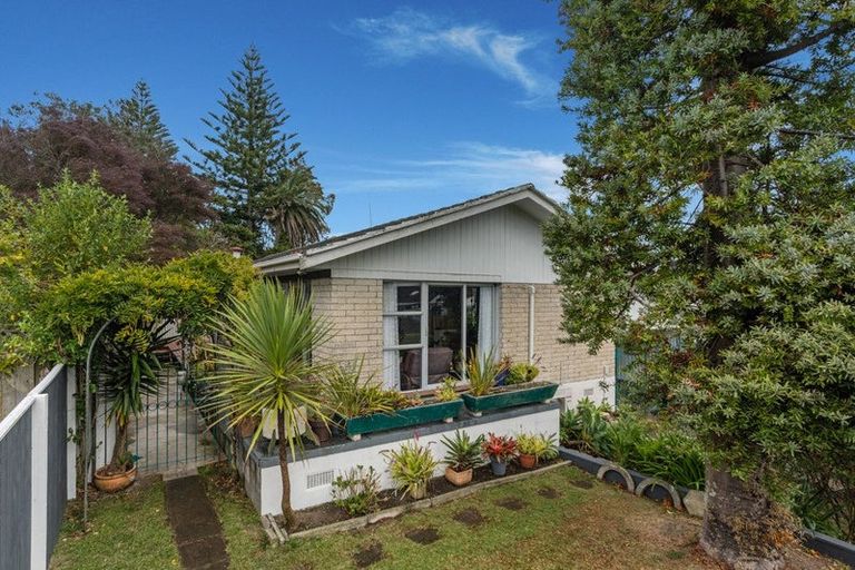 Photo of property in 33 Riverside Drive, Whakatane, 3120