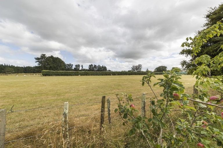 Photo of property in 84 Mulgrave Street, Ashhurst, 4810