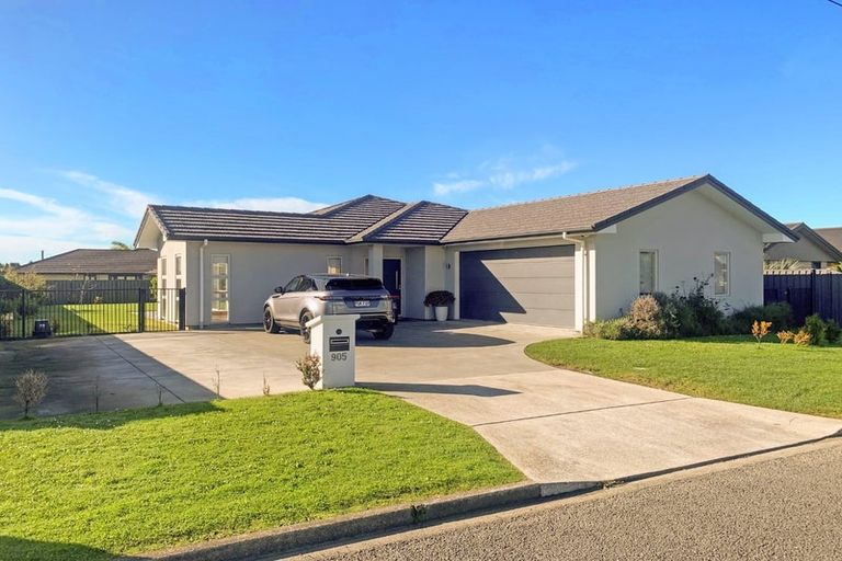 Photo of property in 905 Williams Street, Mahora, Hastings, 4120