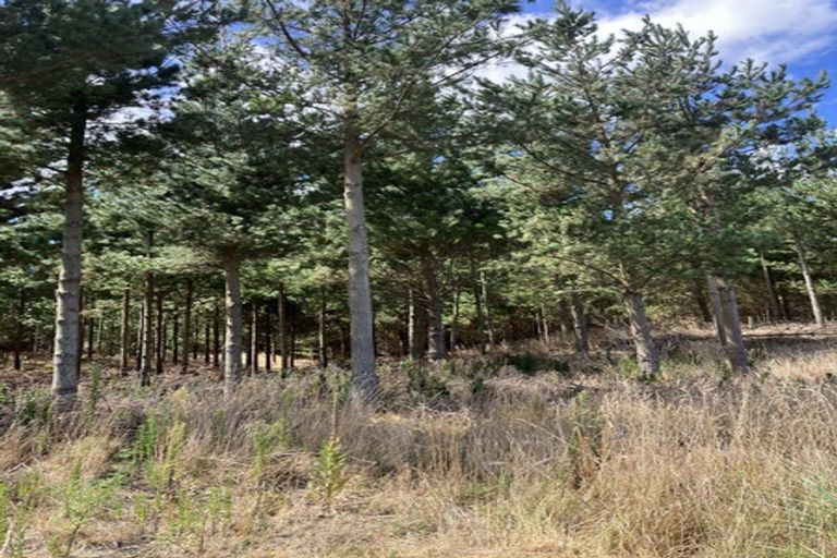 Photo of property in 1387 Santoft Road, Santoft, Bulls, 4894