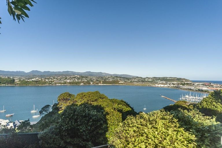Photo of property in 19 Overtoun Terrace, Hataitai, Wellington, 6021