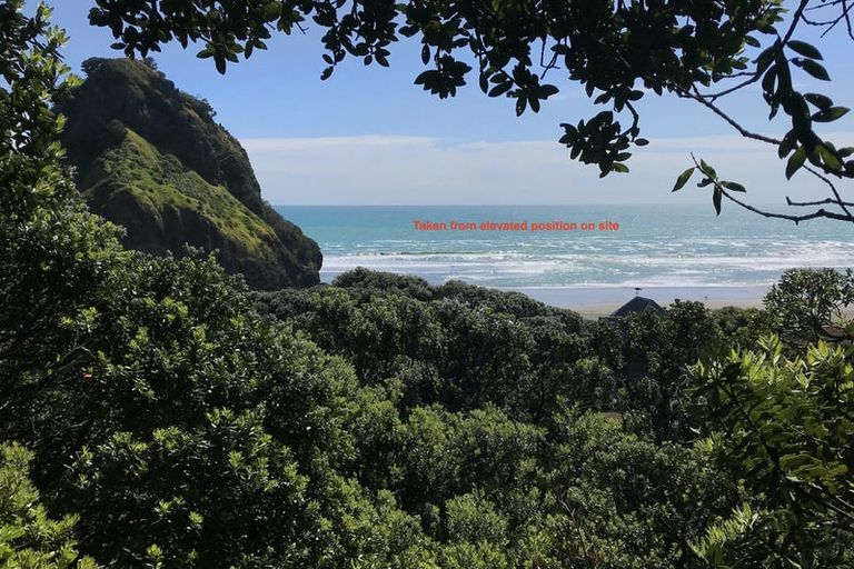 Photo of property in 43 Garden Road, Piha, New Lynn, 0772