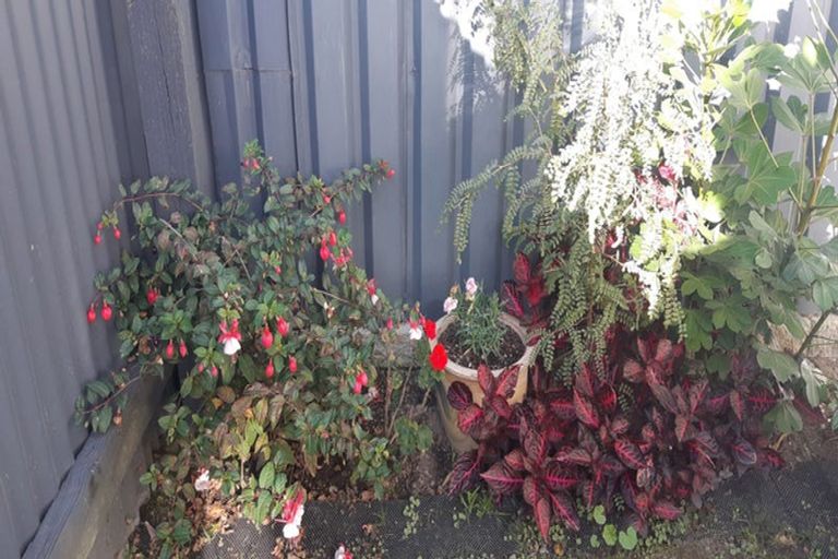 Photo of property in 390-392 Jackson Street, Petone, Lower Hutt, 5012