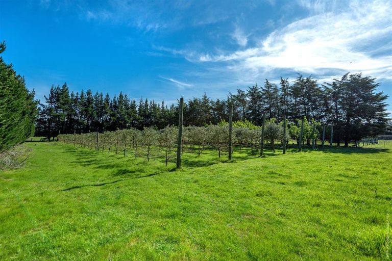 Photo of property in 165 North Eyre Road, Swannanoa, Kaiapoi, 7692