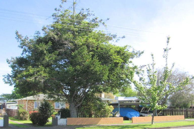 Photo of property in 12 Vincent Street, Matamata, 3400