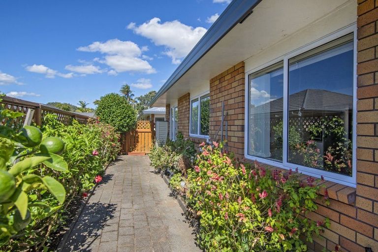 Photo of property in 18a King Street, Kensington, Whangarei, 0112