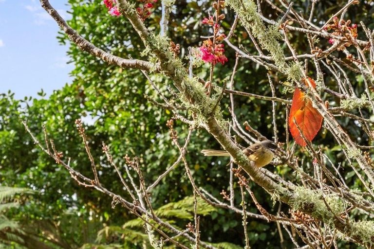 Photo of property in 9 Mcfarlane Street, Oakura, 4314