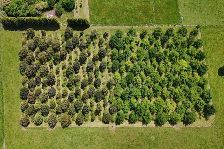 Photo of property in 1156 Braemar Road, Rotoma, Whakatane, 3192