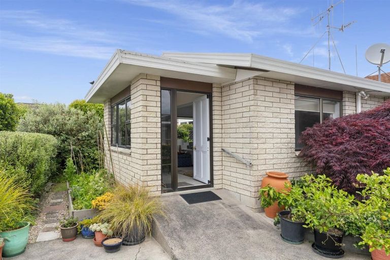 Photo of property in 7a Laing Place, Otumoetai, Tauranga, 3110