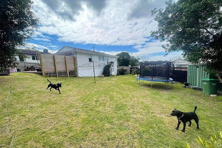 Photo of property in 24 Meilland Place, Glen Eden, Auckland, 0602