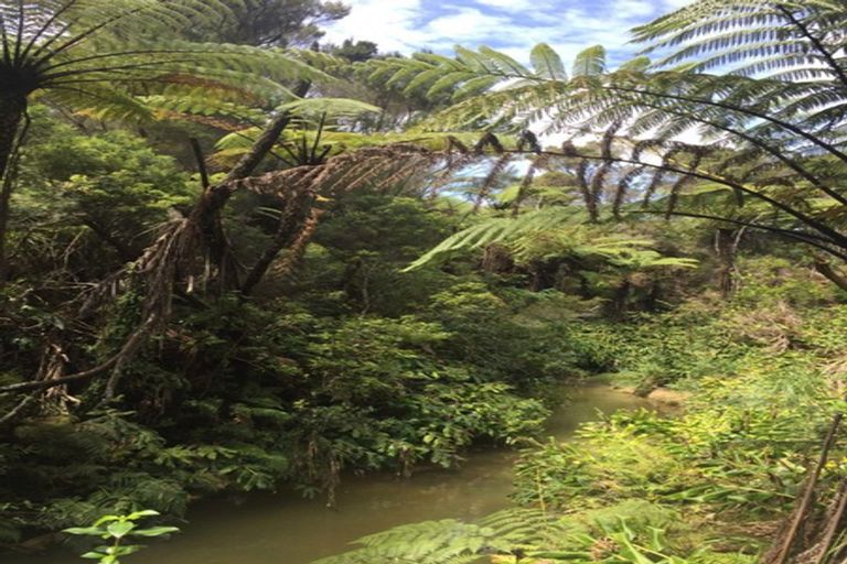 Photo of property in 7 Lori Lane, Coopers Beach, 0420