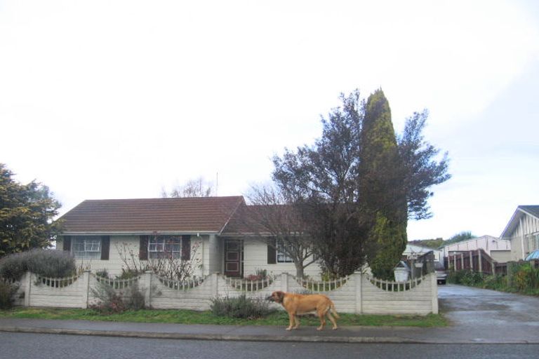 Photo of property in 17 Margate Avenue, Flaxmere, Hastings, 4120