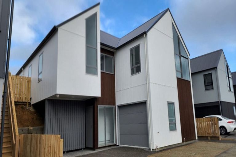 Photo of property in 17 Lemonwood Way, Woodridge, Wellington, 6037