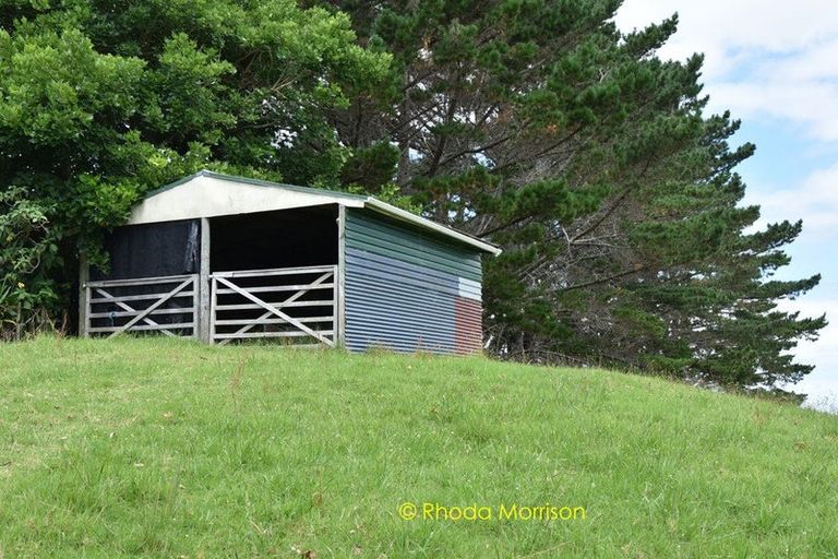 Photo of property in 318 Franklin Road, Paparoa, 0571