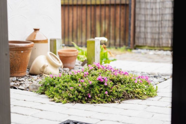 Photo of property in 29e Bathgate Street, South Dunedin, Dunedin, 9012