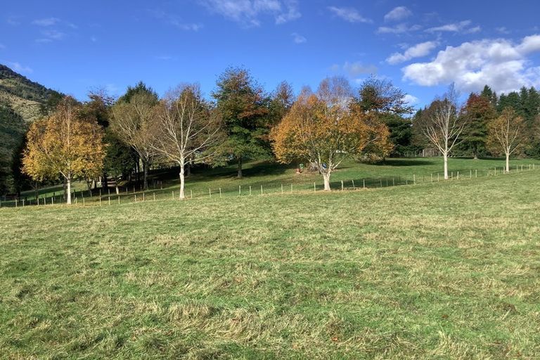 Photo of property in 759 Wakamarina Road, Wakamarina, Havelock, 7178