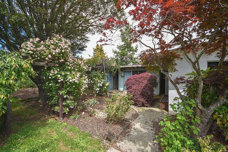 Photo of property in 217 Union Street, Milton, 9220