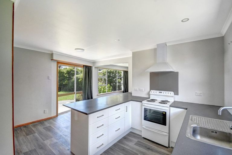 Photo of property in 217 Union Street, Milton, 9220