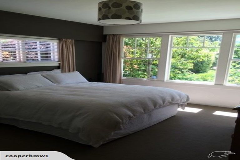 Photo of property in 38 Weka Street, Fendalton, Christchurch, 8041