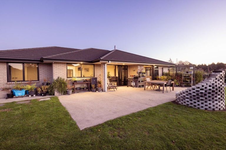 Photo of property in 264 Mcphail Road, Oropi, Tauranga, 3173