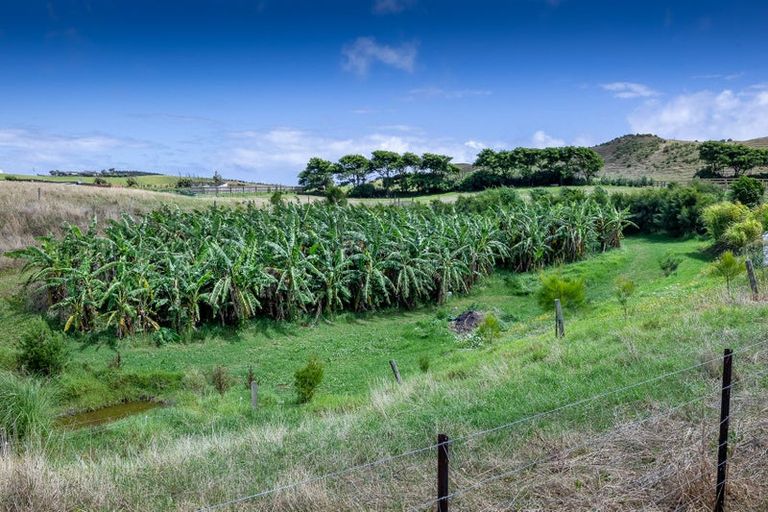 Photo of property in 410 Mahuta Road, Mahuta, Dargaville, 0371