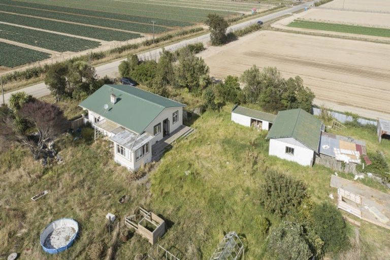 Photo of property in 178 Cd Farm Road, Levin, 5571