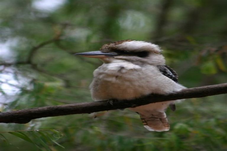 Photo of property in 48 Wilson Road, Warkworth, 0981