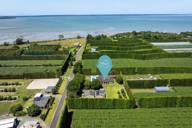 Photo of property in 126 Pukakura Road, Katikati, 3178