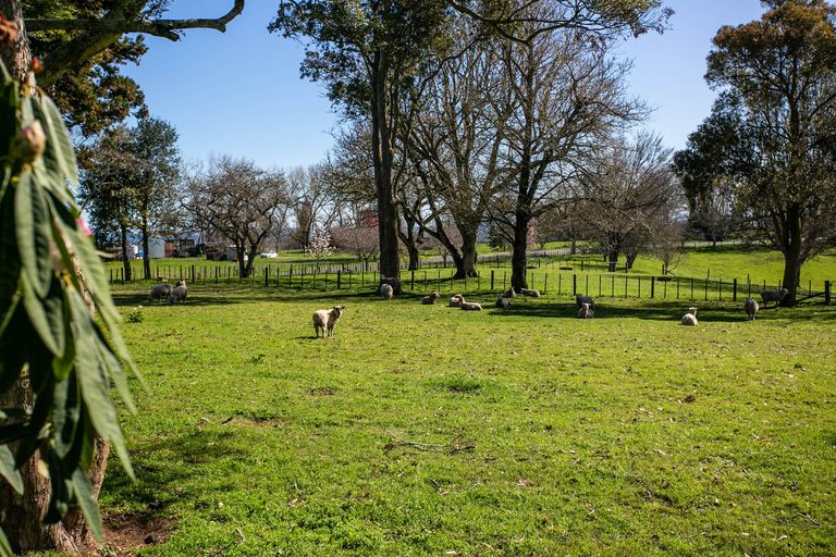 Photo of property in 79 Bell Road, Ngahinapouri, Te Awamutu, 3876