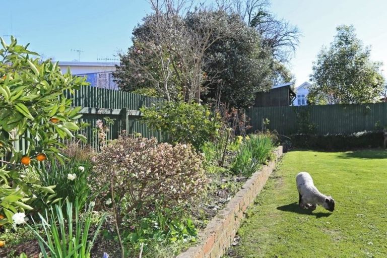 Photo of property in 501 Market Street South, Hastings, 4122