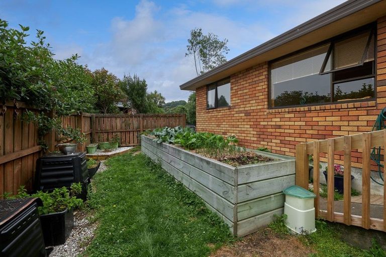 Photo of property in 283b Scarborough Street, Kaikoura, 7300