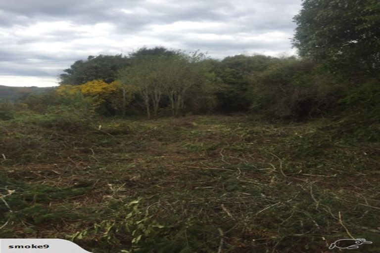 Photo of property in 14 Kowhai Street, Ravensbourne, Dunedin, 9022