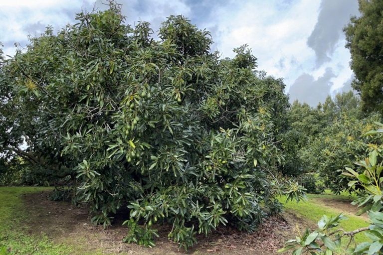 Photo of property in 67e Purangi Road, Purangi, Whitianga, 3591