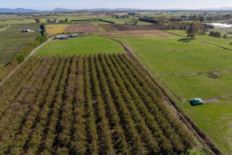 Photo of property in 503b Gordonton Road, Gordonton, Hamilton, 3281