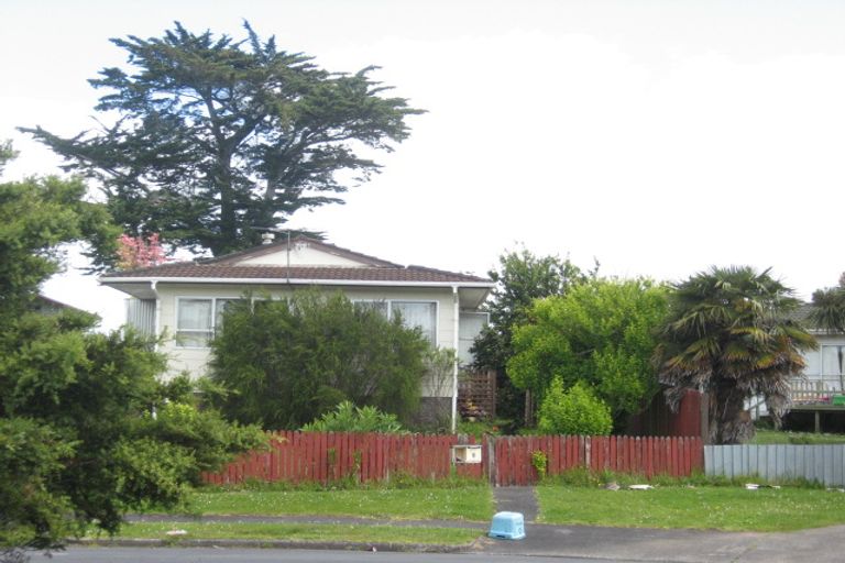 Photo of property in 6 Slim Place, Clendon Park, Auckland, 2103