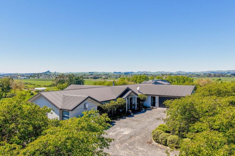 Photo of property in 38 Jg Wilson Drive, Waipukurau, 4281