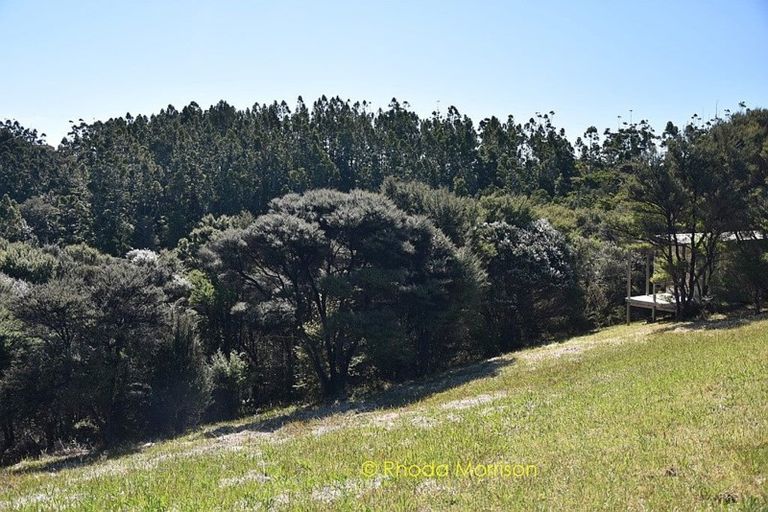 Photo of property in 17 Te Wairoa Lane, Tinopai, Matakohe, 0593