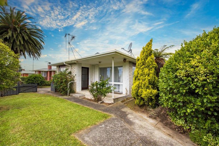 Photo of property in 8 Baden Street, Levin, 5510