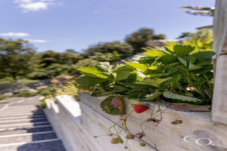 Photo of property in 21d Glenn Terrace, Otumoetai, Tauranga, 3110