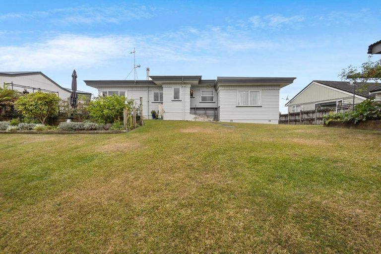 Photo of property in 14 Terrace Street, Putaruru, 3411
