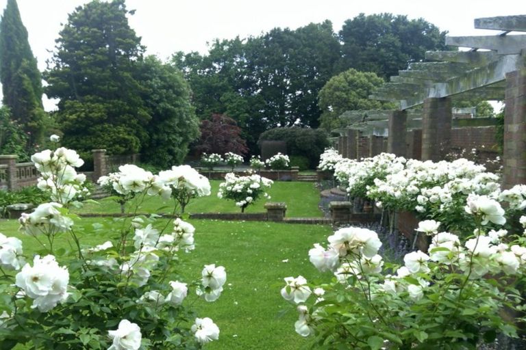 Photo of property in 146 Benhar Road, Benhar, Balclutha, 9272