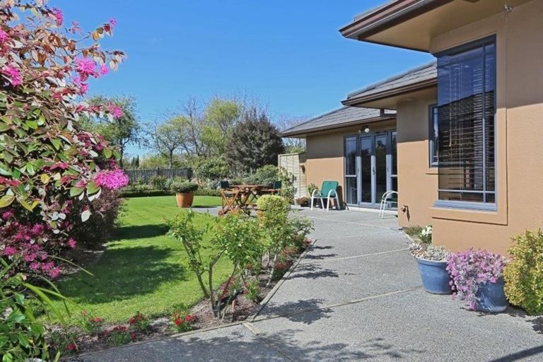 Photo of property in 58 Palmbrook Avenue, Havelock North, 4130