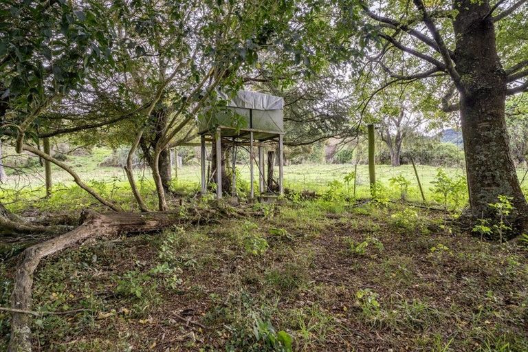 Photo of property in 250 Horsfall Road, Peel Forest, Mount Peel, 7992