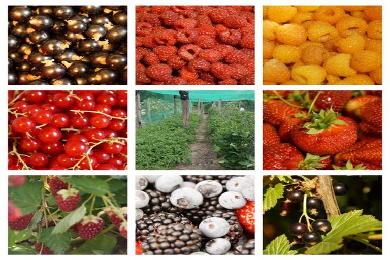 Photo of property in 4 Farndon Road, Clive, 4102